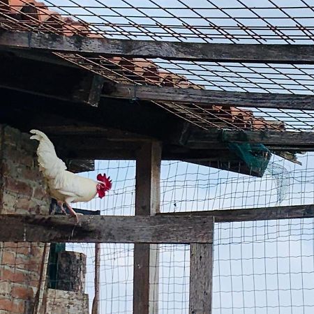 הוילה Pontestura Agriturismo Cascina Smeralda מראה חיצוני תמונה