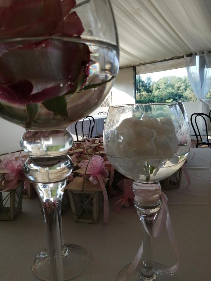 הוילה Pontestura Agriturismo Cascina Smeralda מראה חיצוני תמונה