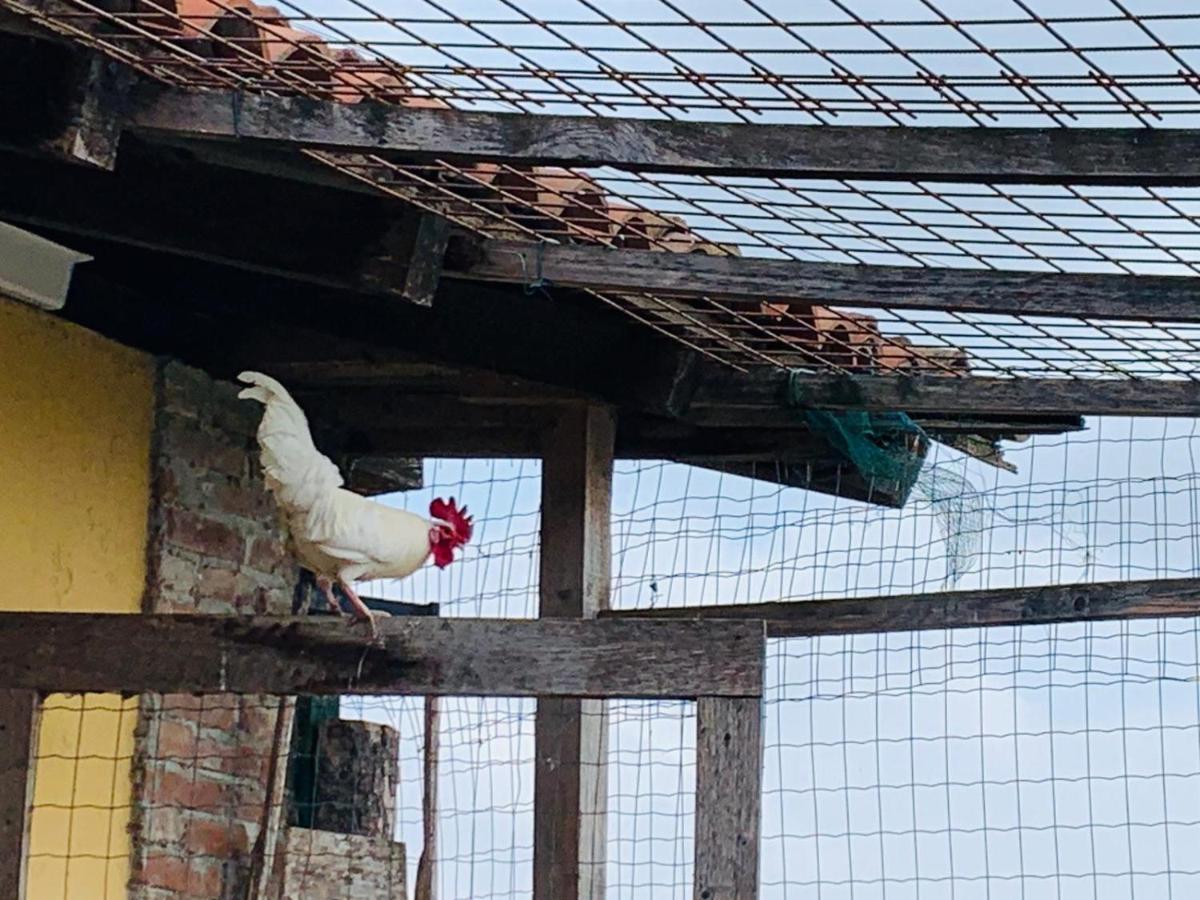 הוילה Pontestura Agriturismo Cascina Smeralda מראה חיצוני תמונה